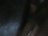 Zoo sex tv anal sex with a mare